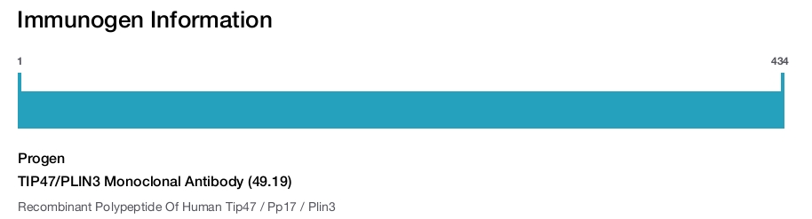 TIP47/PLIN3 Monoclonal Antibody (49.19)