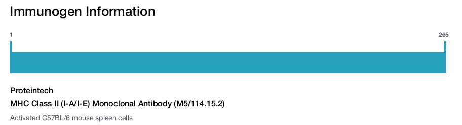 MHC Class II (I-A/I-E) Monoclonal Antibody (M5/114.15.2)