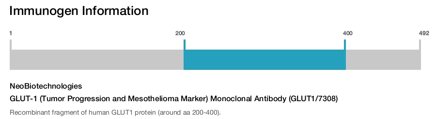 GLUT-1 (Tumor Progression and Mesothelioma Marker) Monoclonal Antibody (GLUT1/7308)