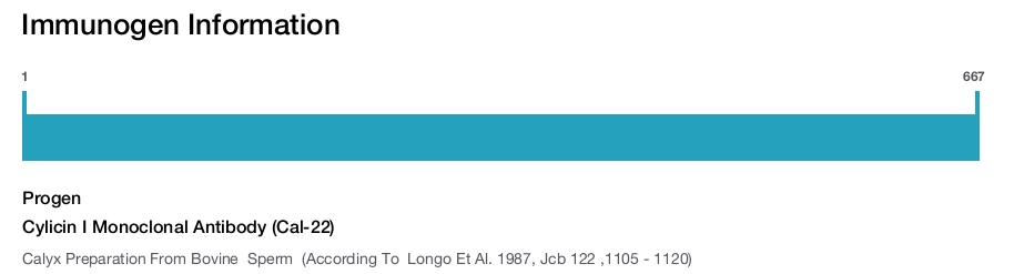 Cylicin I Monoclonal Antibody (Cal-22)