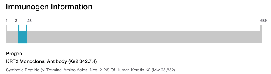 KRT2 Monoclonal Antibody (Ks2.342.7.4)