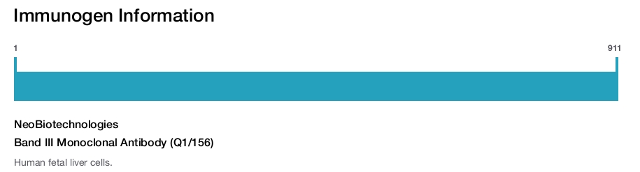 Band III Monoclonal Antibody (Q1/156)