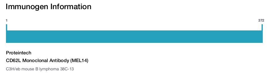 CD62L Monoclonal Antibody (MEL14)