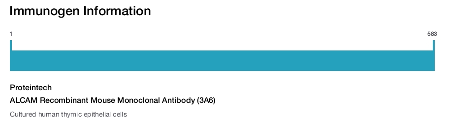 ALCAM Recombinant Mouse Monoclonal Antibody (3A6)