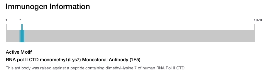 RNA pol II CTD monomethyl (Lys7) Monoclonal Antibody (1F5)
