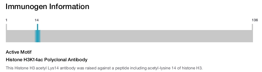 Histone H3K14ac Polyclonal Antibody