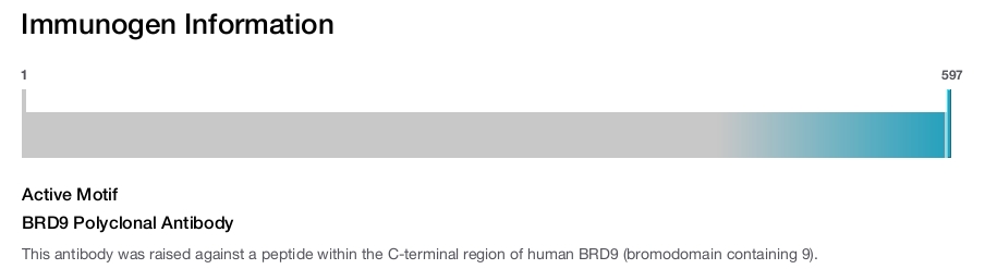 BRD9 Polyclonal Antibody
