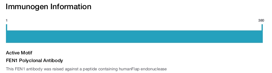 FEN1 Polyclonal Antibody