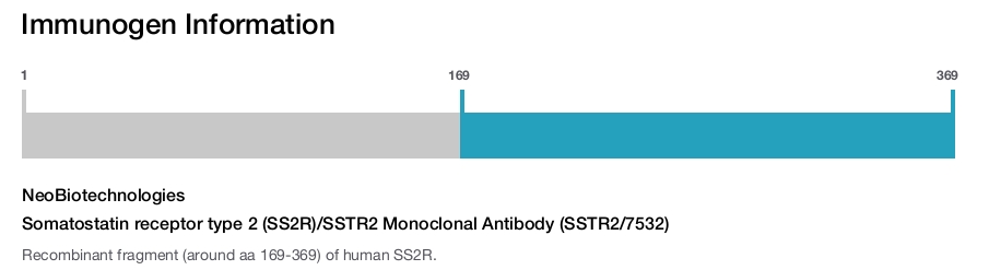 Somatostatin receptor type 2 (SS2R)/SSTR2 Monoclonal Antibody (SSTR2/7532)