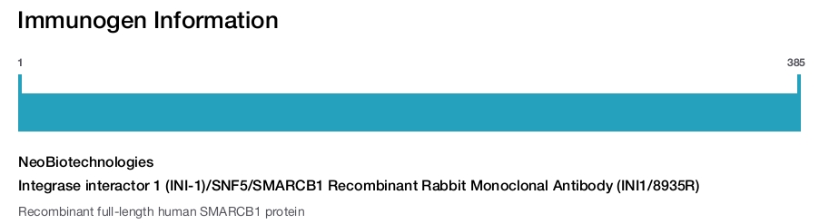 Integrase interactor 1 (INI-1)/SNF5/SMARCB1 Recombinant Rabbit Monoclonal Antibody (INI1/8935R)
