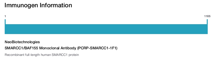 SMARCC1/BAF155 Monoclonal Antibody (PCRP-SMARCC1-1F1)