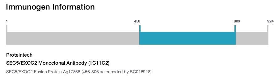 SEC5/EXOC2 Monoclonal Antibody (1C11G2)