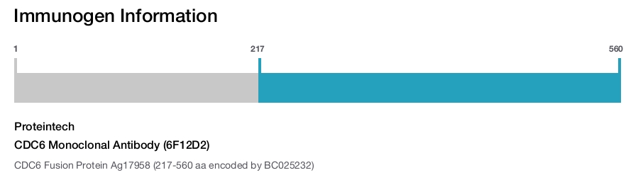 CDC6 Monoclonal Antibody (6F12D2)