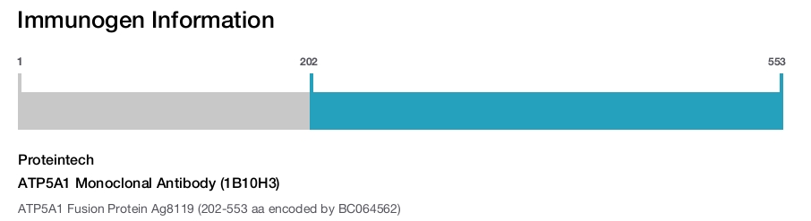 ATP5A1 Monoclonal Antibody (1B10H3)