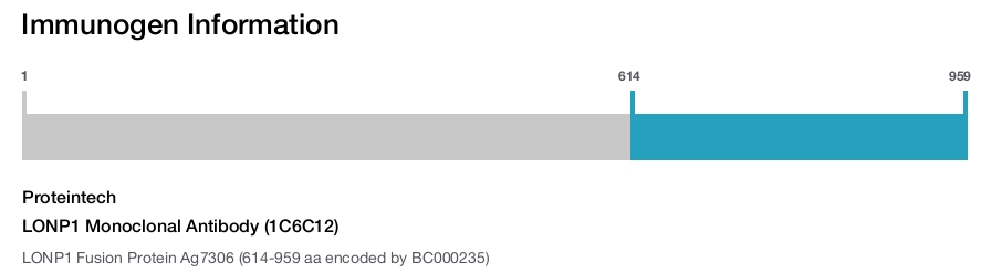 LONP1 Monoclonal Antibody (1C6C12)