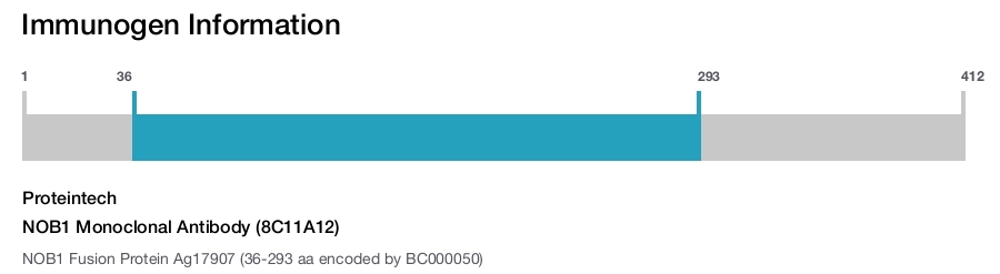 NOB1 Monoclonal Antibody (8C11A12)