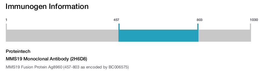 MMS19 Monoclonal Antibody (2H6D8)