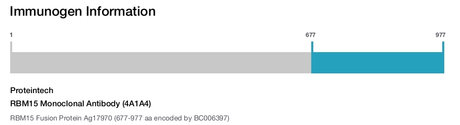 RBM15 Monoclonal Antibody (4A1A4)