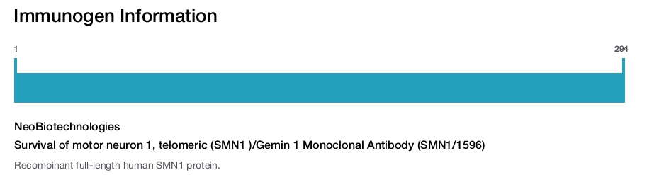 Survival of motor neuron 1, telomeric (SMN1 )/Gemin 1 Monoclonal Antibody (SMN1/1596)