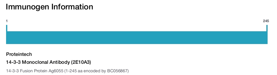 14-3-3 Monoclonal Antibody (2E10A3)