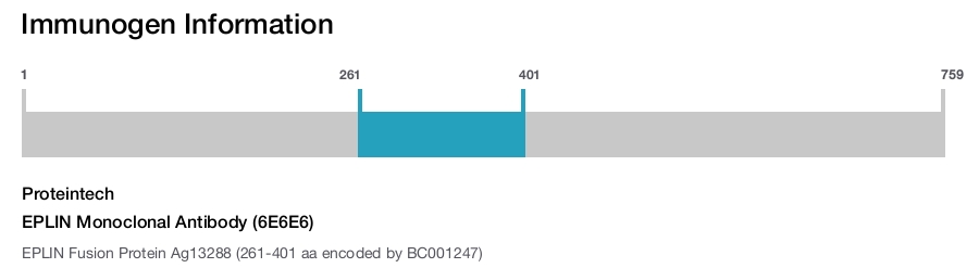EPLIN Monoclonal Antibody (6E6E6)