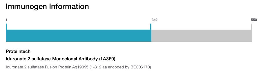 Iduronate 2 sulfatase Monoclonal Antibody (1A3F9)