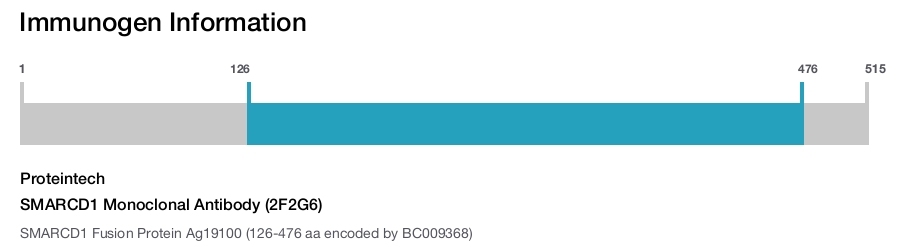 SMARCD1 Monoclonal Antibody (2F2G6)