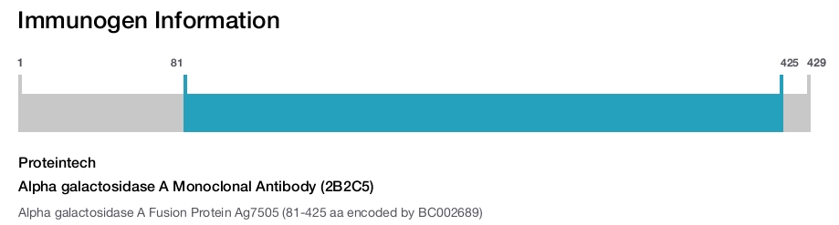 Alpha galactosidase A Monoclonal Antibody (2B2C5)