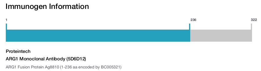 ARG1 Monoclonal Antibody (5D6D12)