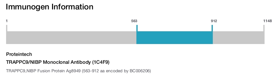 TRAPPC9/NIBP Monoclonal Antibody (1C4F9)