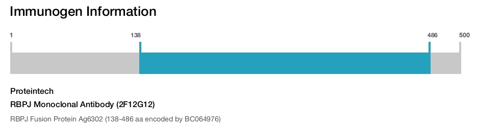 RBPJ Monoclonal Antibody (2F12G12)