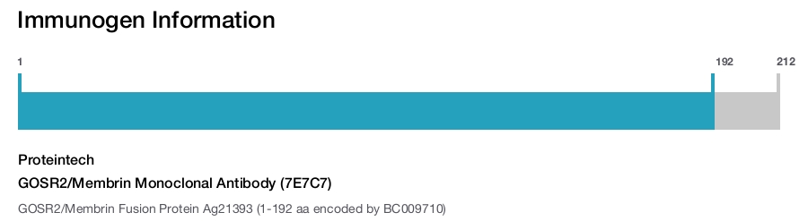 GOSR2/Membrin Monoclonal Antibody (7E7C7)
