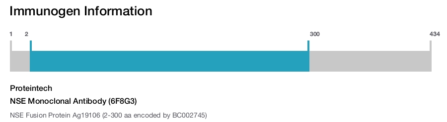 NSE Monoclonal Antibody (6F8G3)