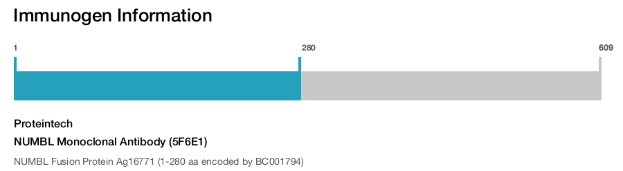 NUMBL Monoclonal Antibody (5F6E1)