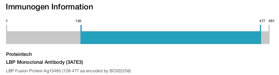 LBP Monoclonal Antibody (3A7E3)