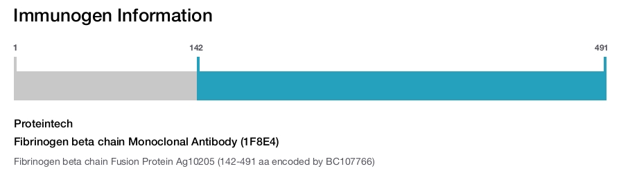 Fibrinogen beta chain Monoclonal Antibody (1F8E4)