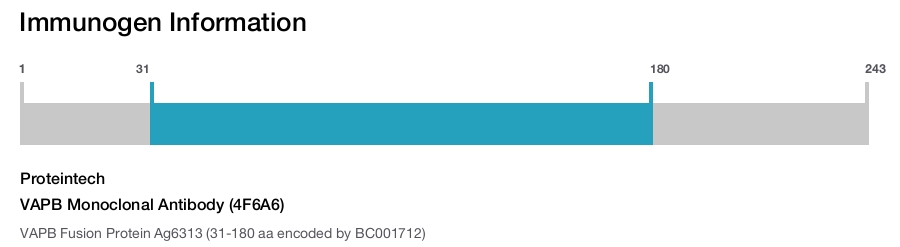 VAPB Monoclonal Antibody (4F6A6)