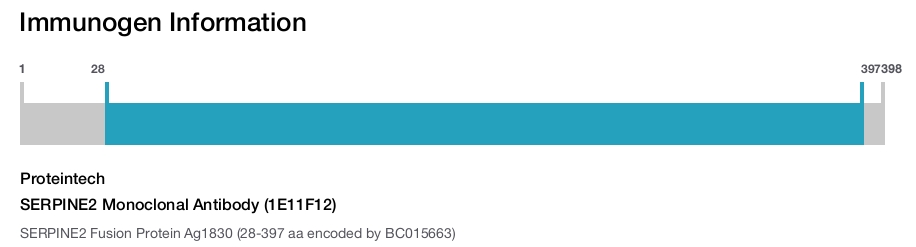 SERPINE2 Monoclonal Antibody (1E11F12)