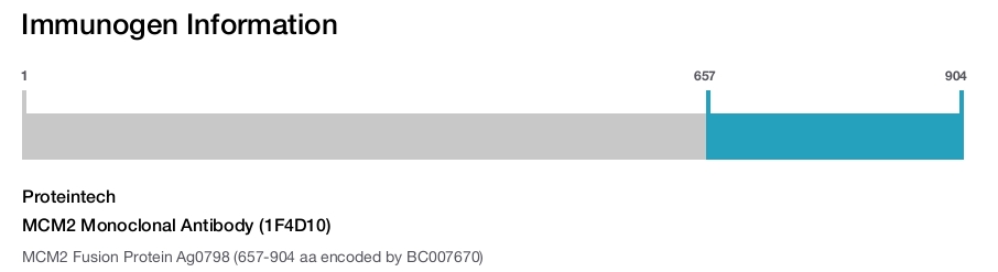 MCM2 Monoclonal Antibody (1F4D10)