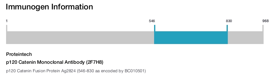 p120 Catenin Monoclonal Antibody (2F7H8)