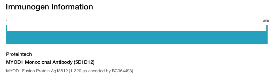 MYOD1 Monoclonal Antibody (5D1D12)