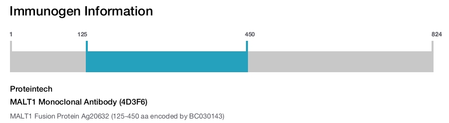 MALT1 Monoclonal Antibody (4D3F6)