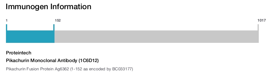 Pikachurin Monoclonal Antibody (1C6D12)