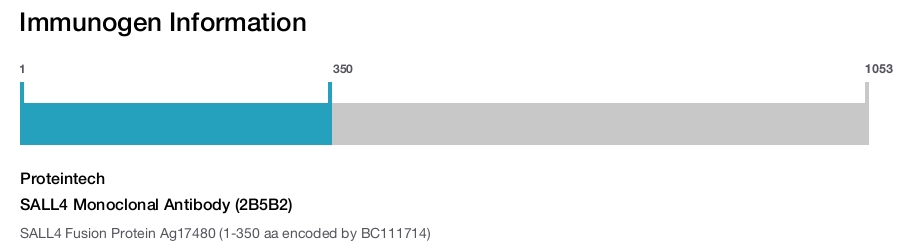 SALL4 Monoclonal Antibody (2B5B2)