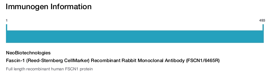 Fascin-1 (Reed-Sternberg CellMarker) Recombinant Rabbit Monoclonal Antibody (FSCN1/6465R)