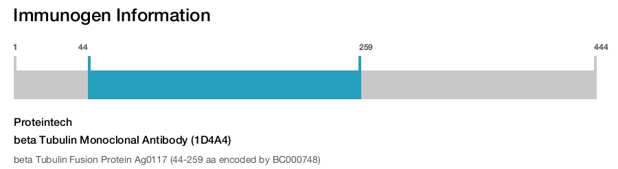 beta Tubulin Monoclonal Antibody (1D4A4)
