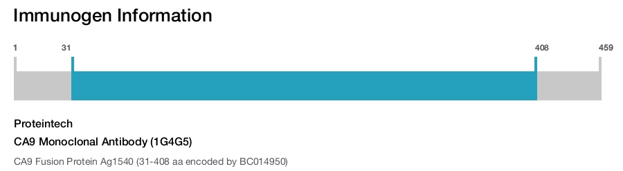 CA9 Monoclonal Antibody (1G4G5)