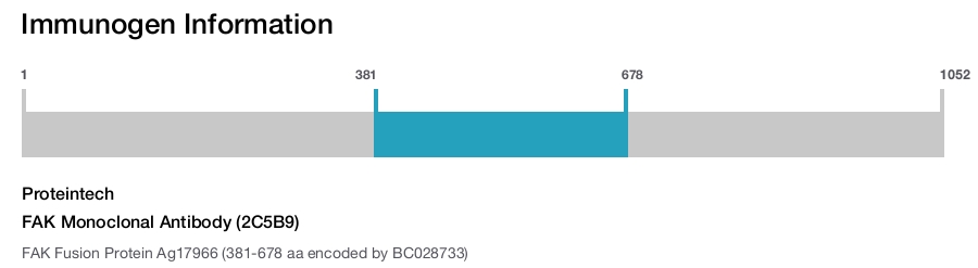 FAK Monoclonal Antibody (2C5B9)