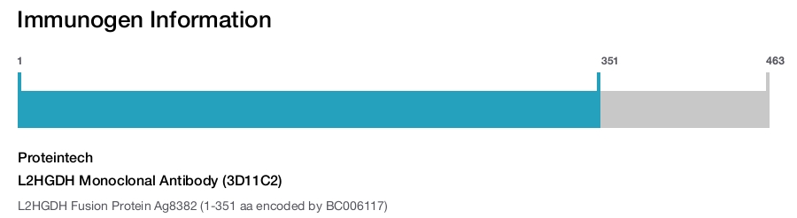 L2HGDH Monoclonal Antibody (3D11C2)