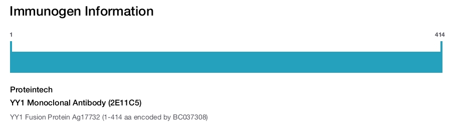 YY1 Monoclonal Antibody (2E11C5)